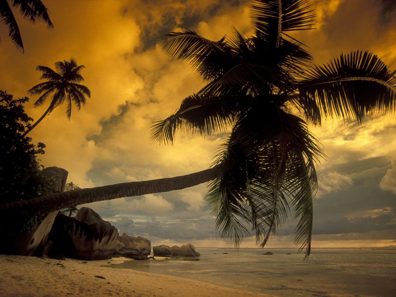 <p>spiaggia al tramonto - Seychelles</p>